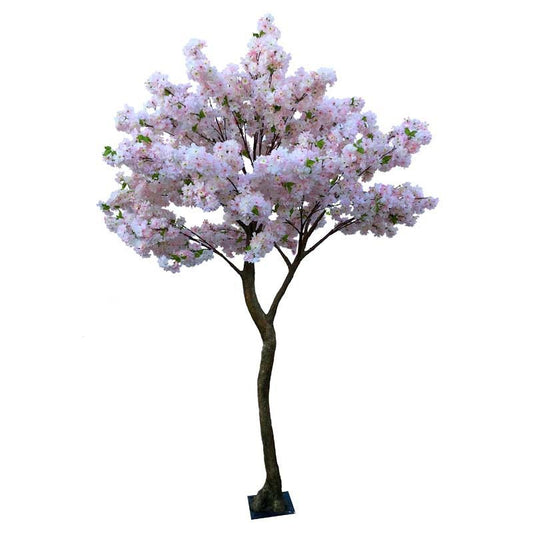 Pink Blossom Tree (2.7m)