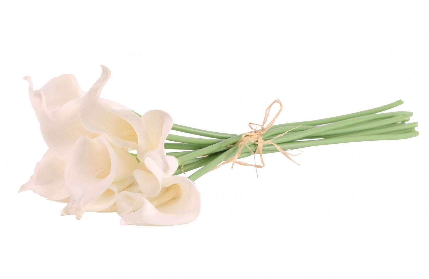 Ivory Calla Lily