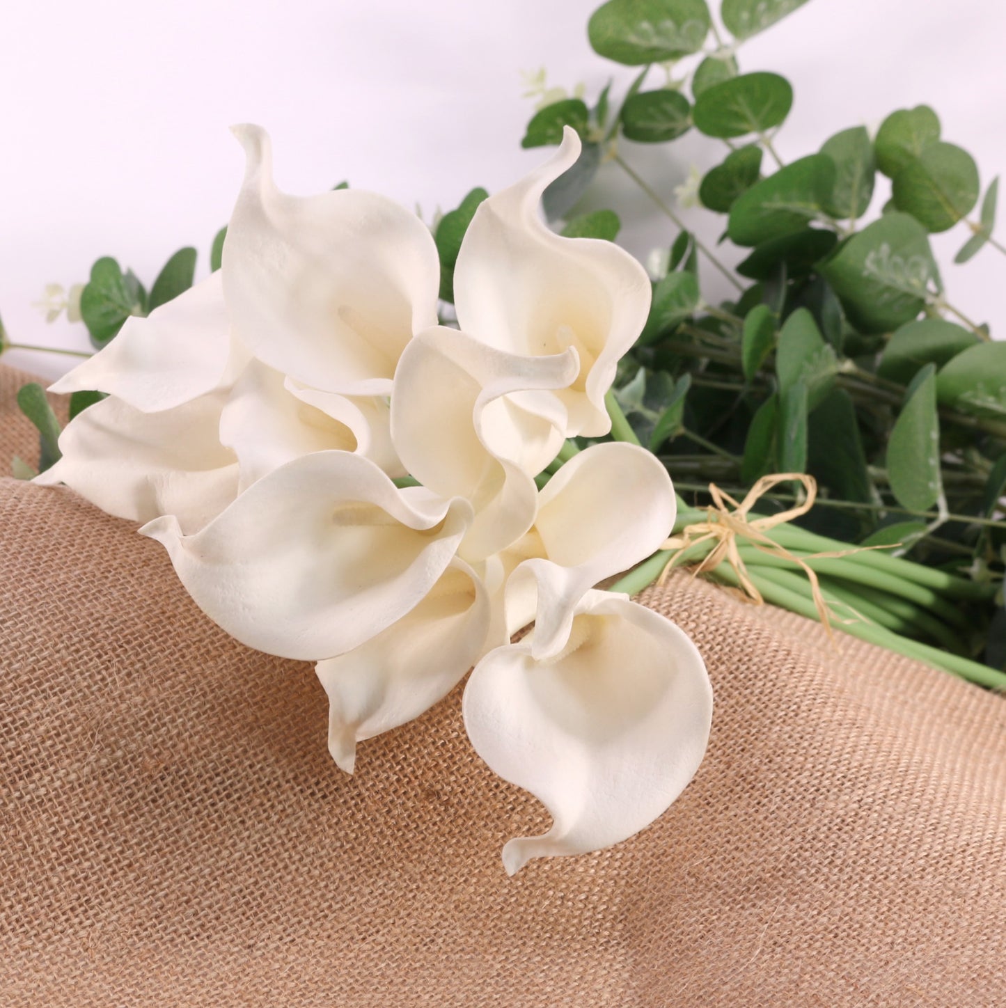 Ivory Calla Lily