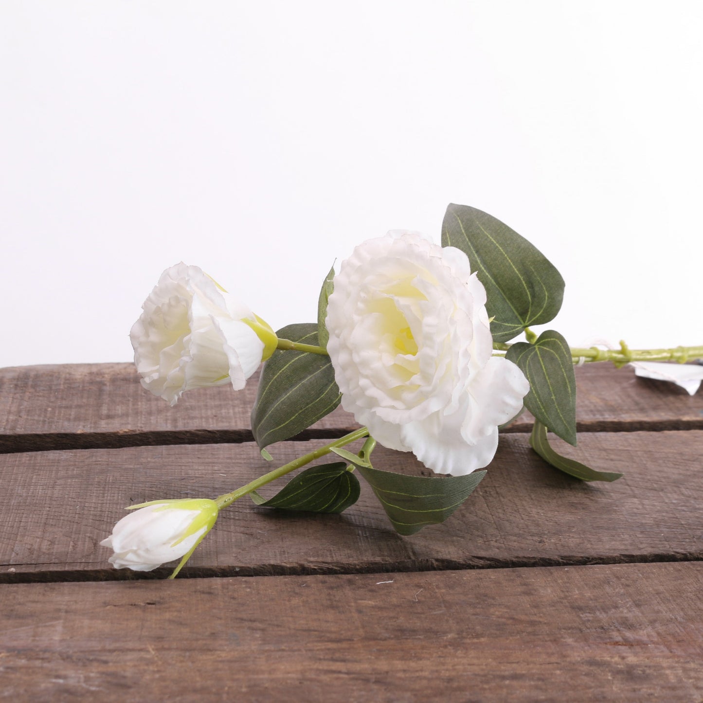 White Lisianthus Spray