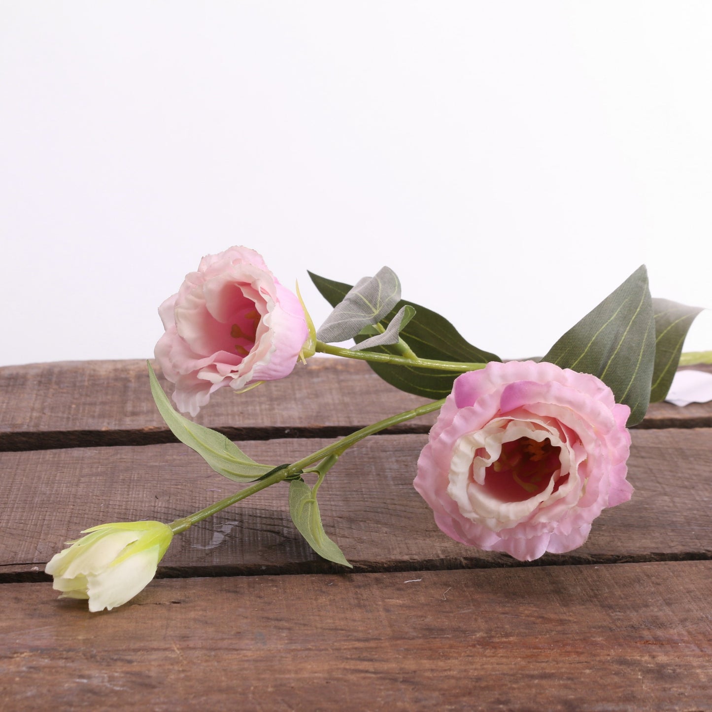 Lilac Lisianthus Spray