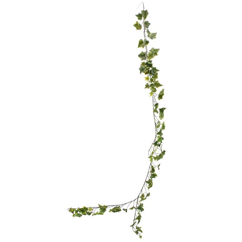 Sandringham Ivy Garland Variegated 180cm x98 Leaves