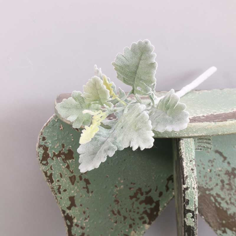 Short Stem Dusty Miller Green (33cm)