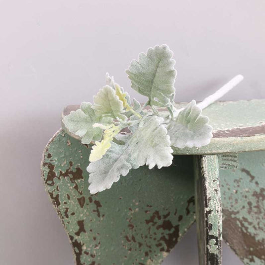 Short Stem Dusty Miller Green (33cm)