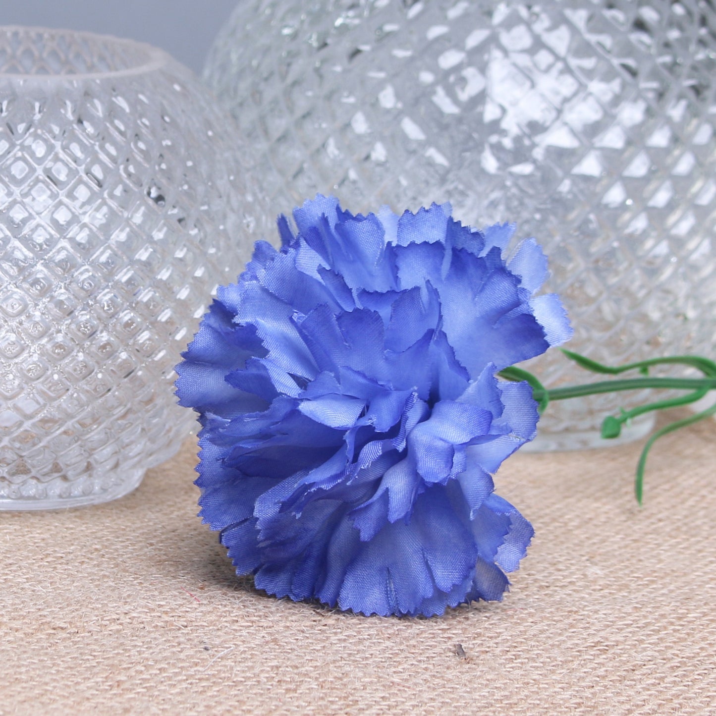 Royal Blue Carnations (12 Stems)