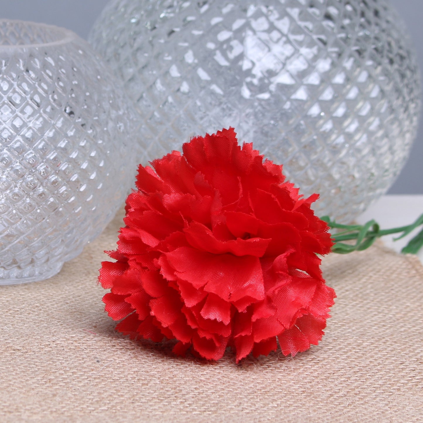 Red Single Carnations (12 Stems)