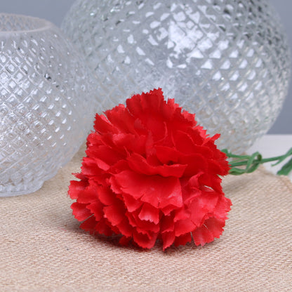 Red Single Carnations (12 Stems)