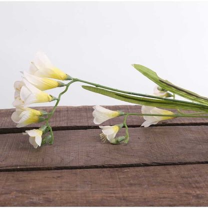 67cm Freesia Spray Cream