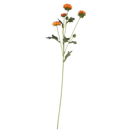 Buckingham Spray Chyrsanthemum Orange