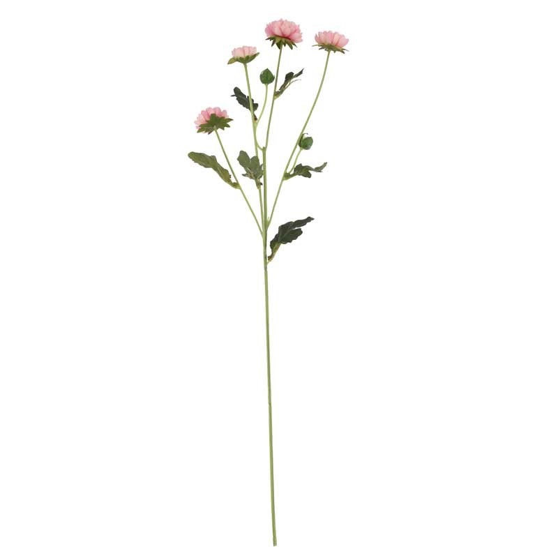 Buckingham Spray Chyrsanthemum Pink