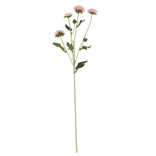 Buckingham Spray Chyrsanthemum Pink