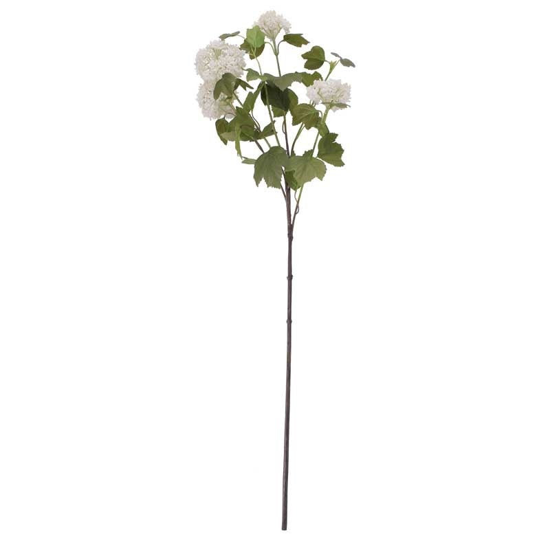 Viburnum Spray White