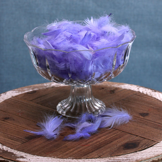 Light Purple Feathers in Bag (5g)