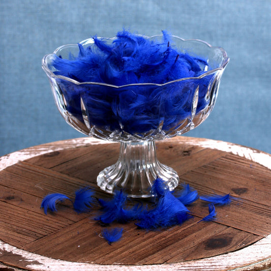 Royal Blue Feathers in Bag (5g)