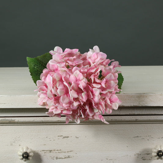 Tintagel Hydrangea Light Pink