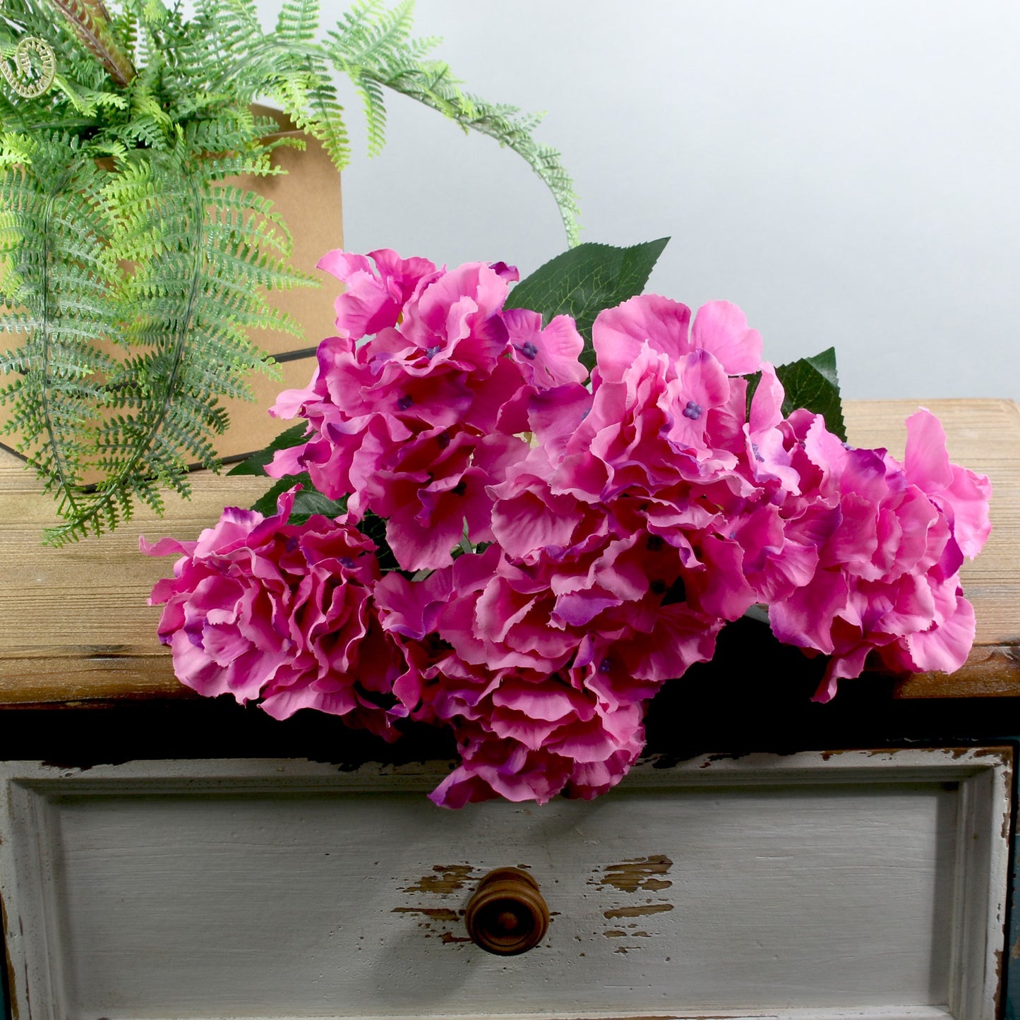 Cerise Arundel Hydrangea Bush