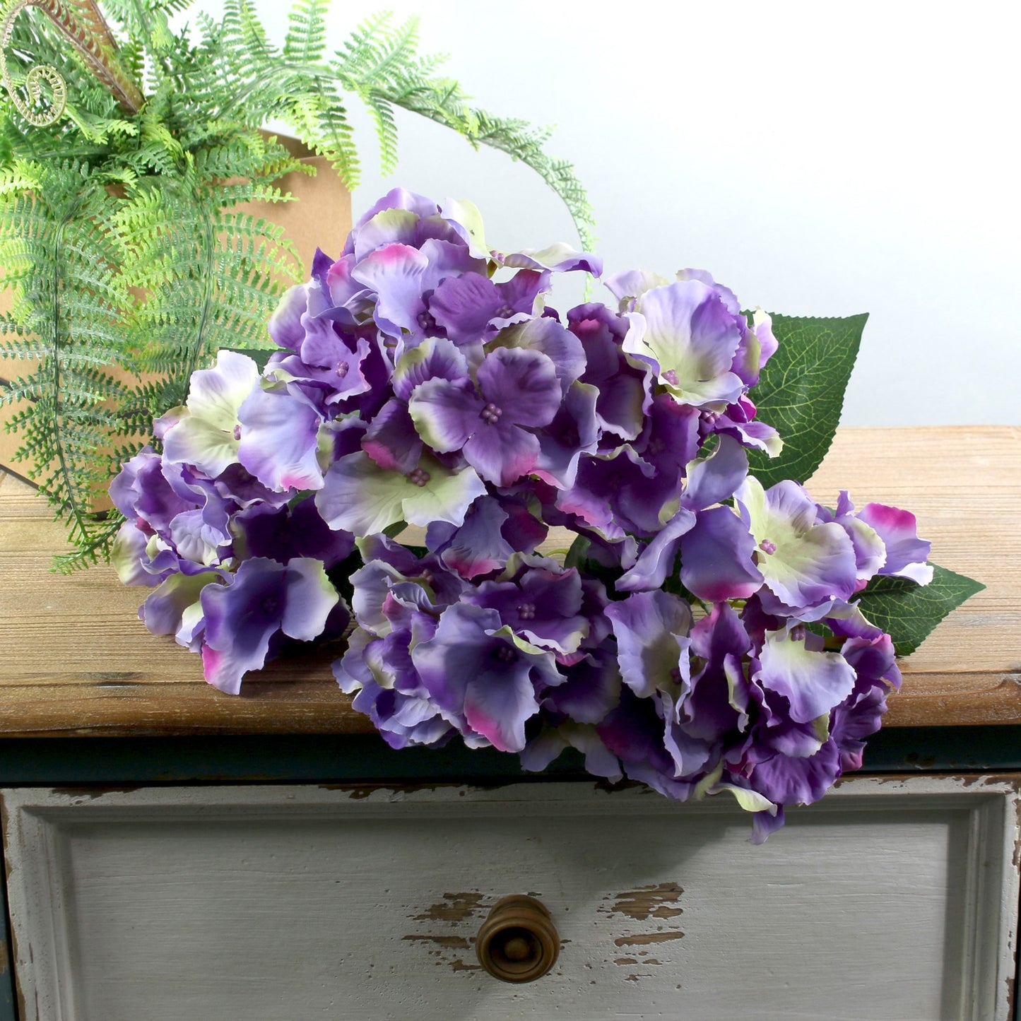 Purple Arundel Hydrangea Bush