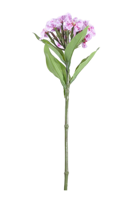 Purple Dianthus (32cm)