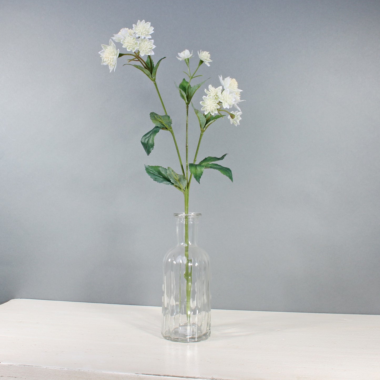 White Astrantia with 14 Flowers (50cm)