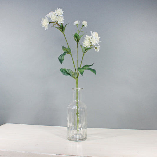 White Astrantia with 14 Flowers (50cm)