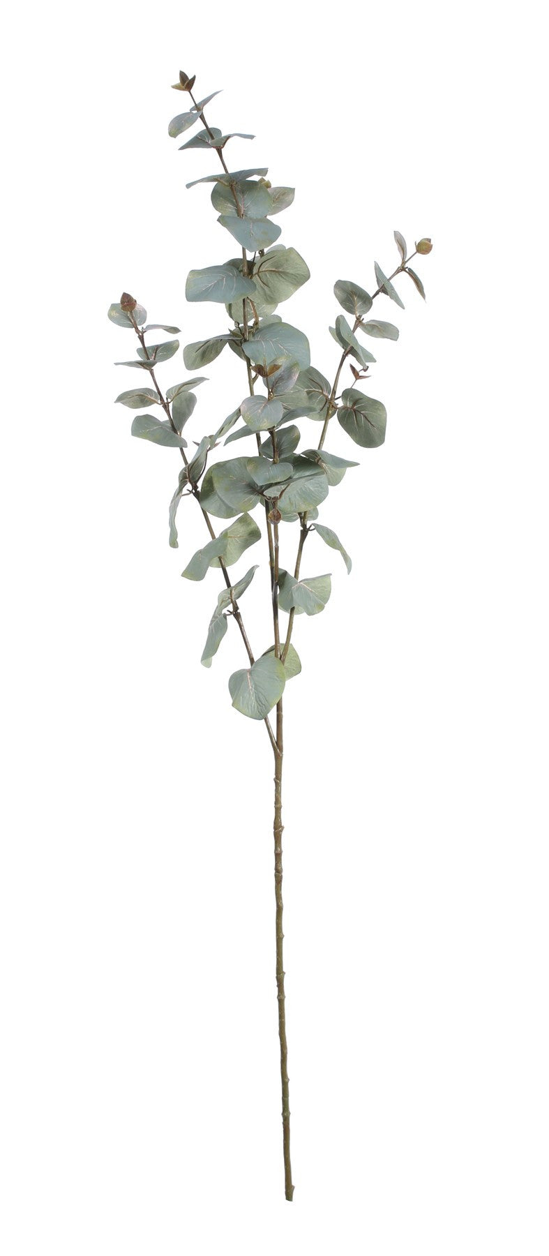 Large Eucalyptus Spray (108cm)