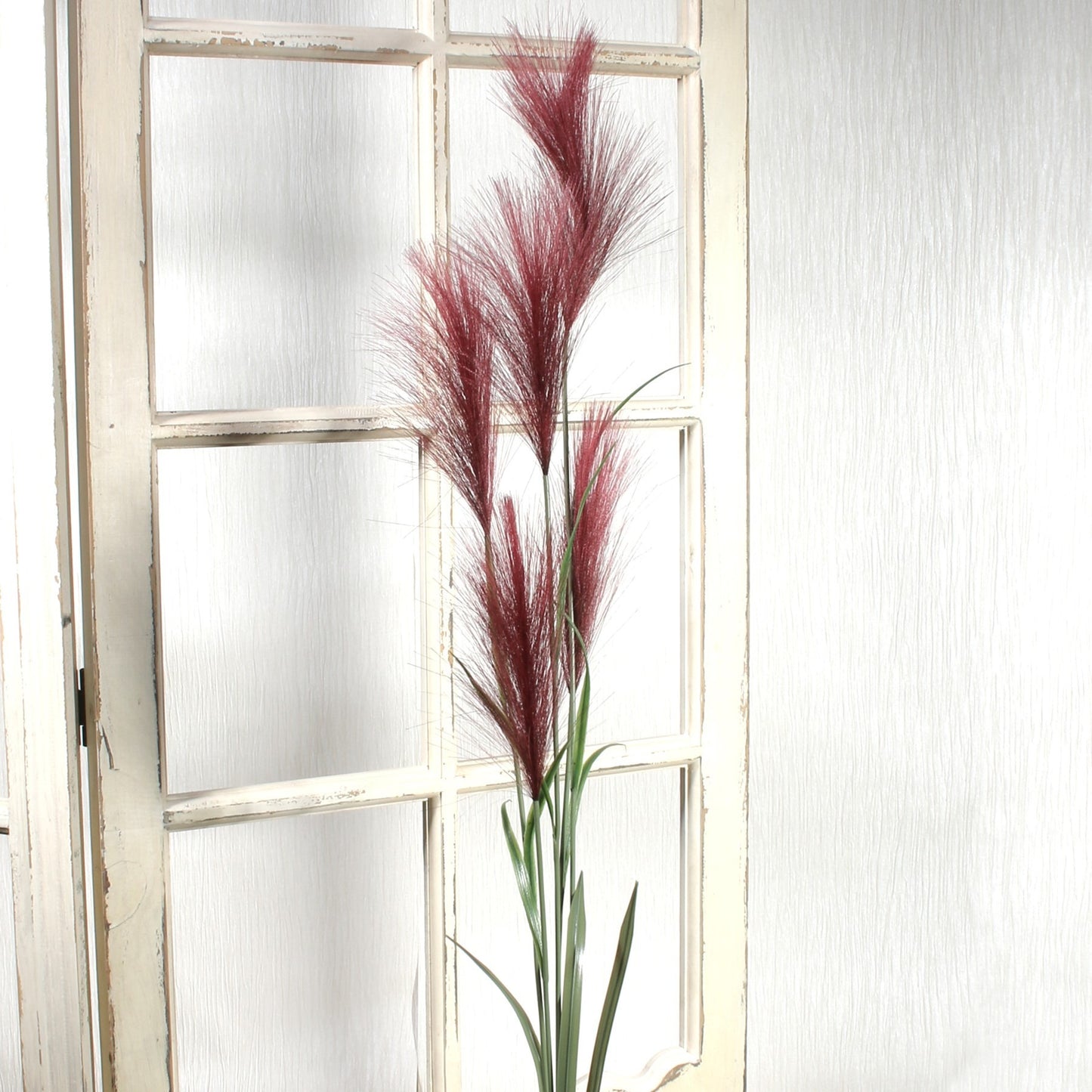 Red Pampas Grass (145cm)