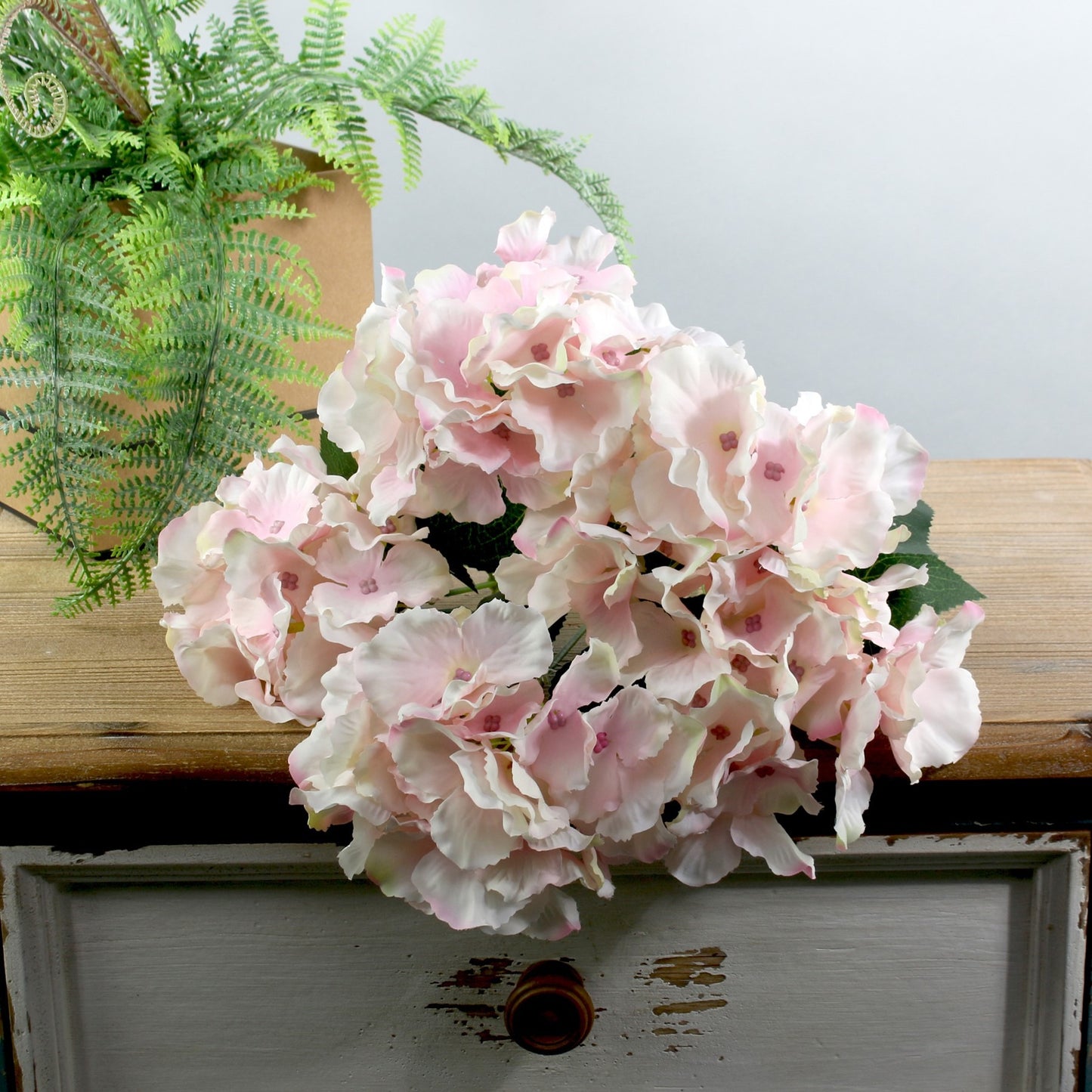 Pink Arundel Hydrangea Bush