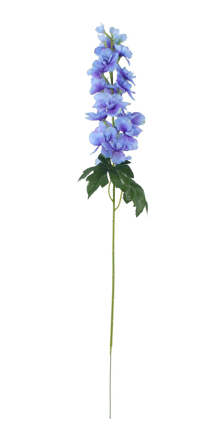 Blue Arundel Garden Delphinium