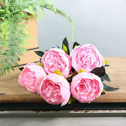 Pink Arundel Peony Bush