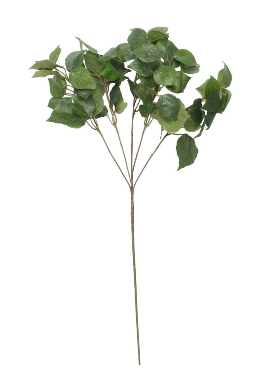 Holland Ivy (24inch)