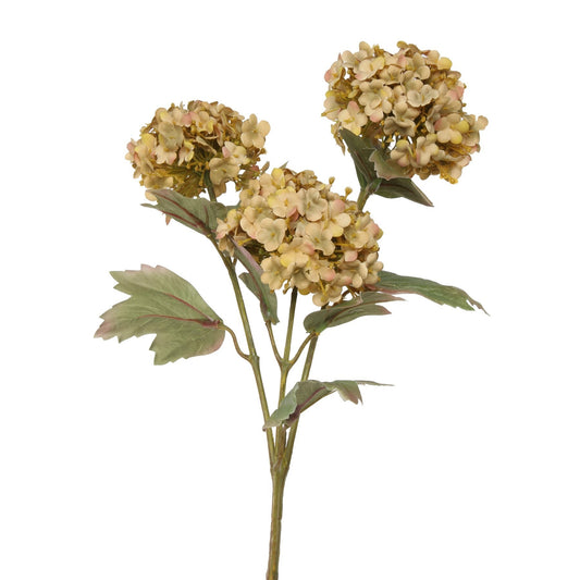 Balmoral Viburnum Spray Light Brown (82cm)