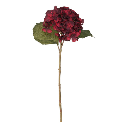 Balmoral Hydrangea Burgundy (45cm)