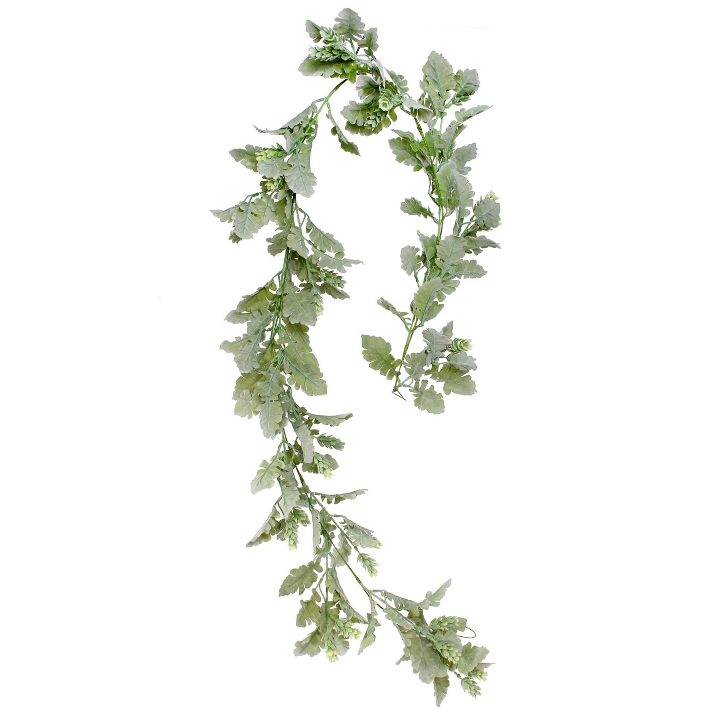 Dusty Miller   Hops Garland (180cm)