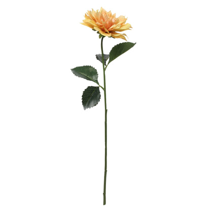 Glamis Single Dahlia with Yellow (61cm)