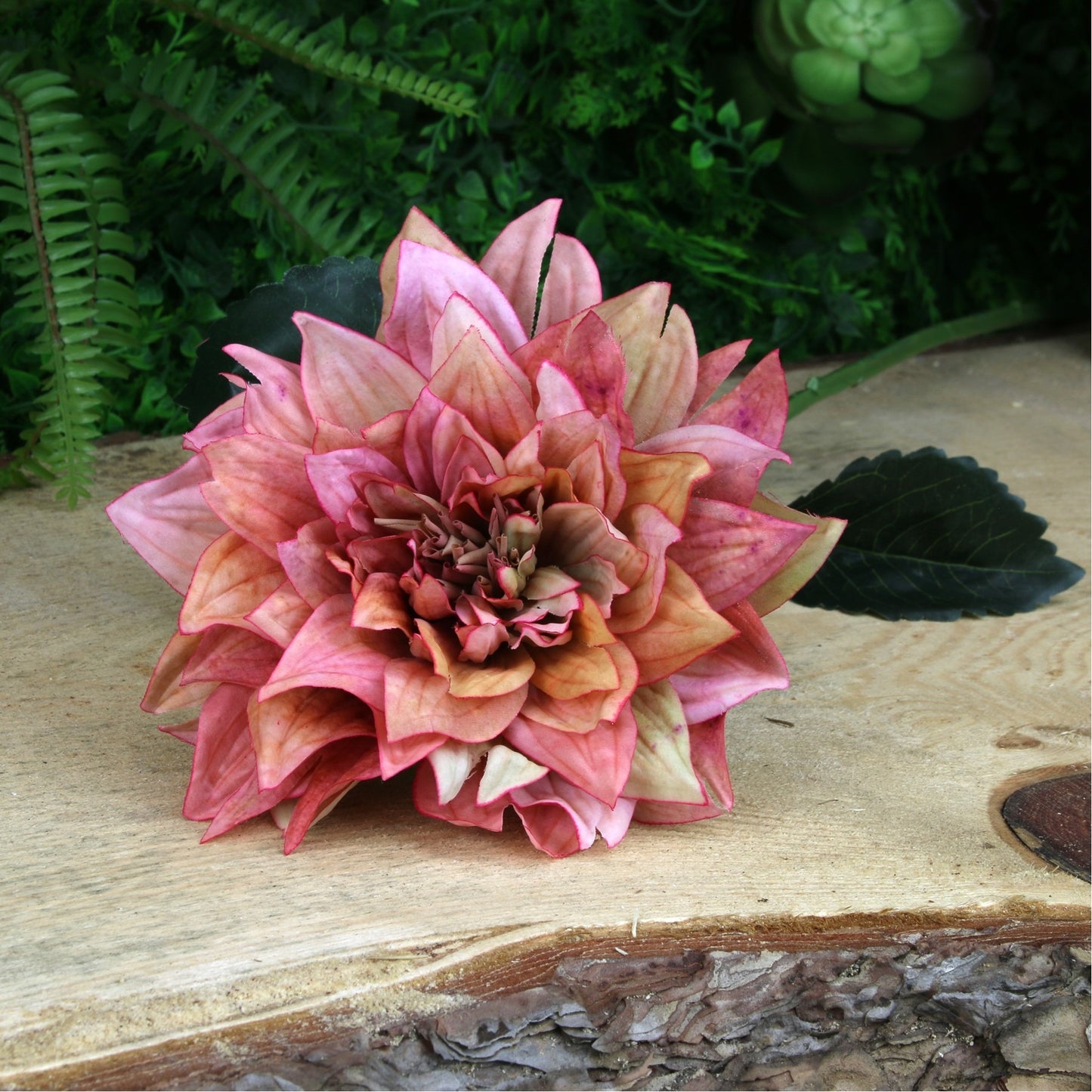 Glamis Single Dahlia with 2 Leaves Pink (61cm)