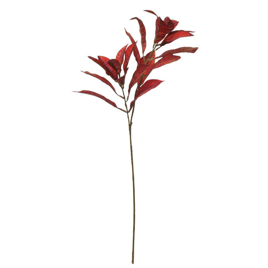 Glamis Croton Spray Red (72cm)