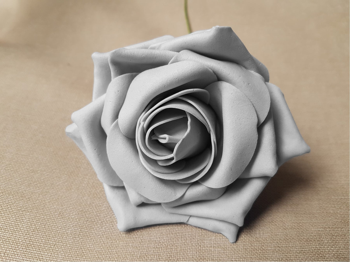 Bunch of 5 Grey Foam Tea Rose