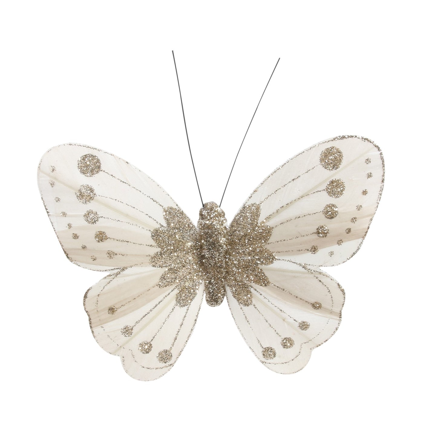 11.5cm Ivory/Gold Feather   Glitter Butterfly (Pack of 12)