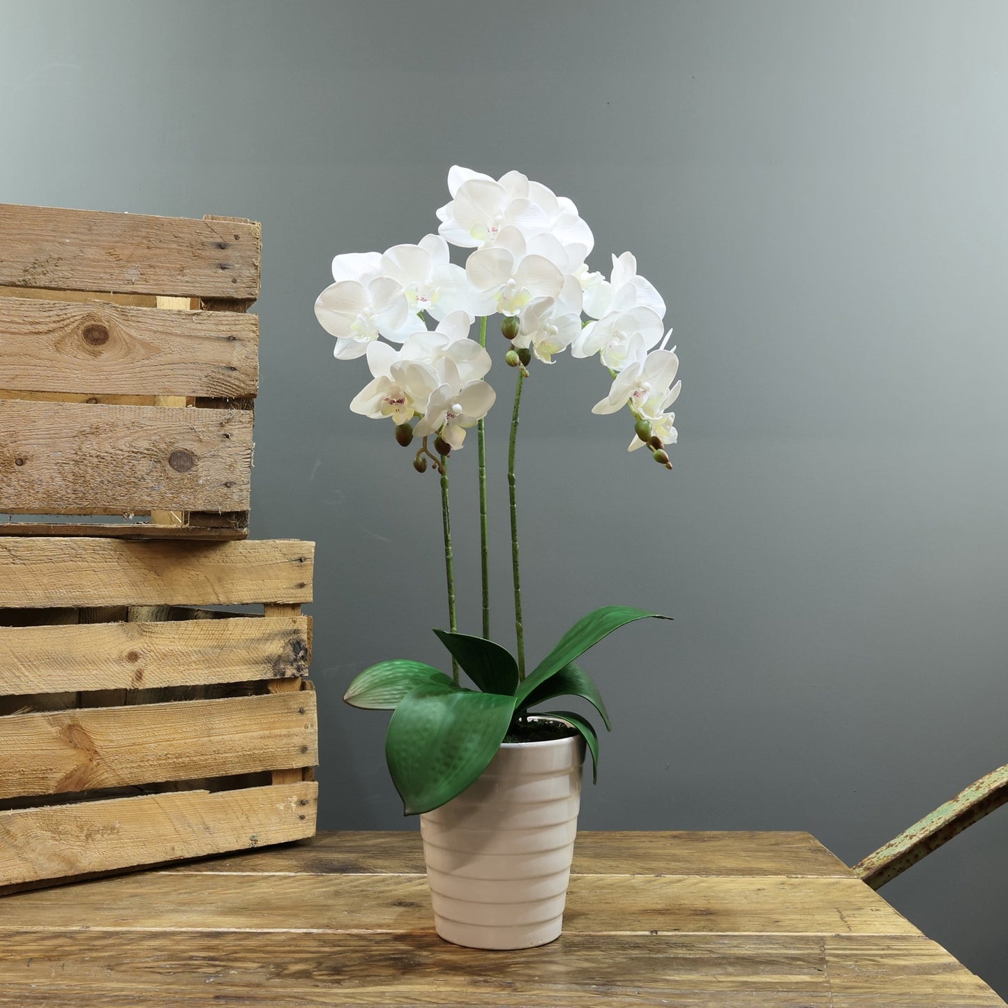 Artificial White Phaleanopsis in Planter (Medium - 3 Stems)