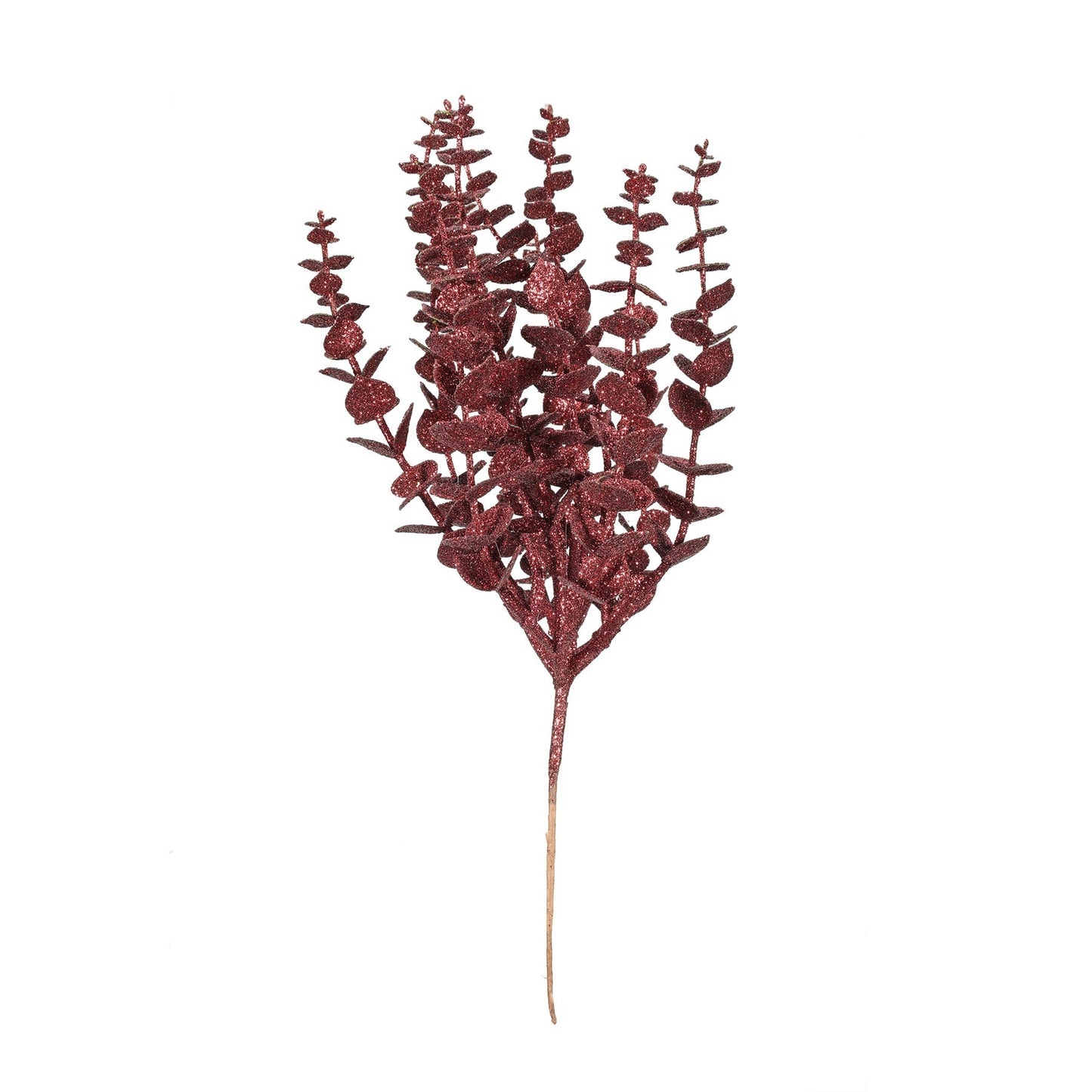 Burgundy Glitter Eucalyptus Bush (H33cm)