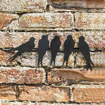 Swallows On Wire