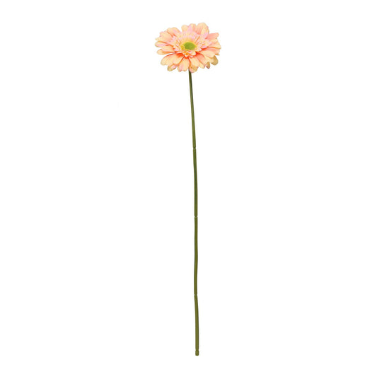 Peach Gerbera Stem (72cm)