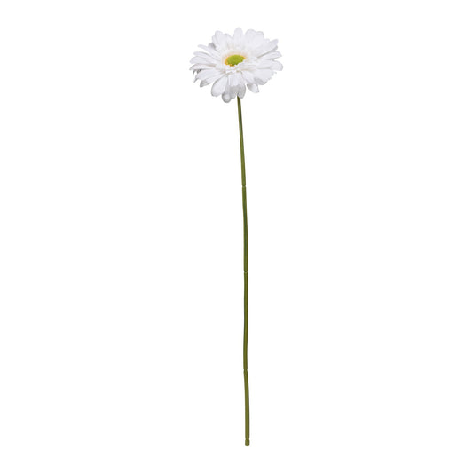 Single White Gerbera (72cm)