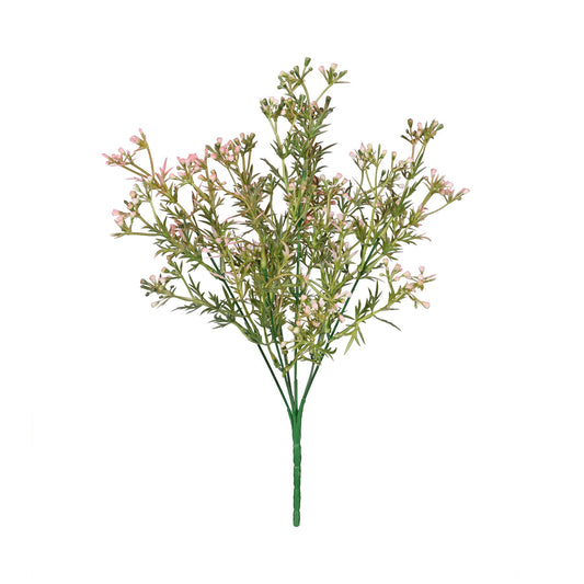 Essential Pink Heather Bud Bush