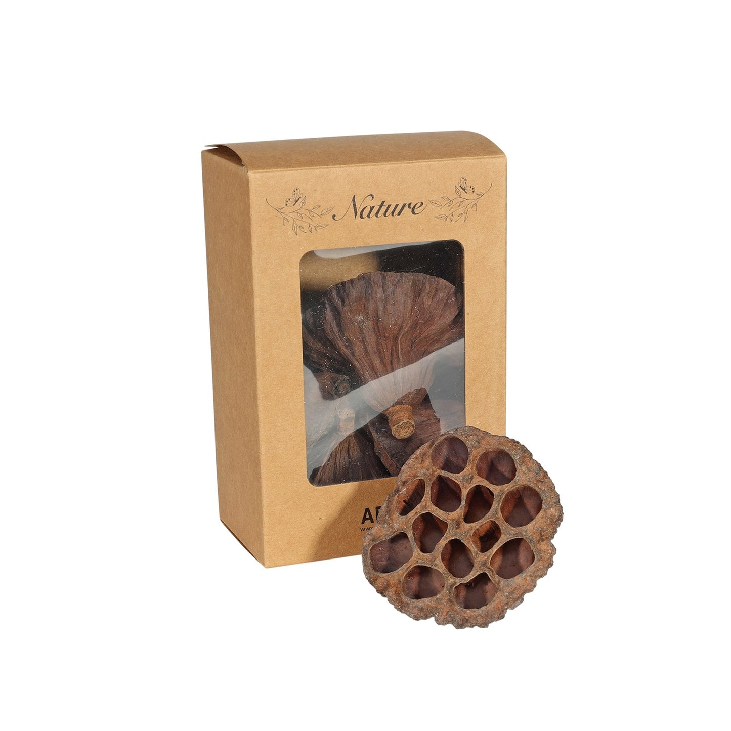 Dried Lotus Heads in Box (Pack of 5)