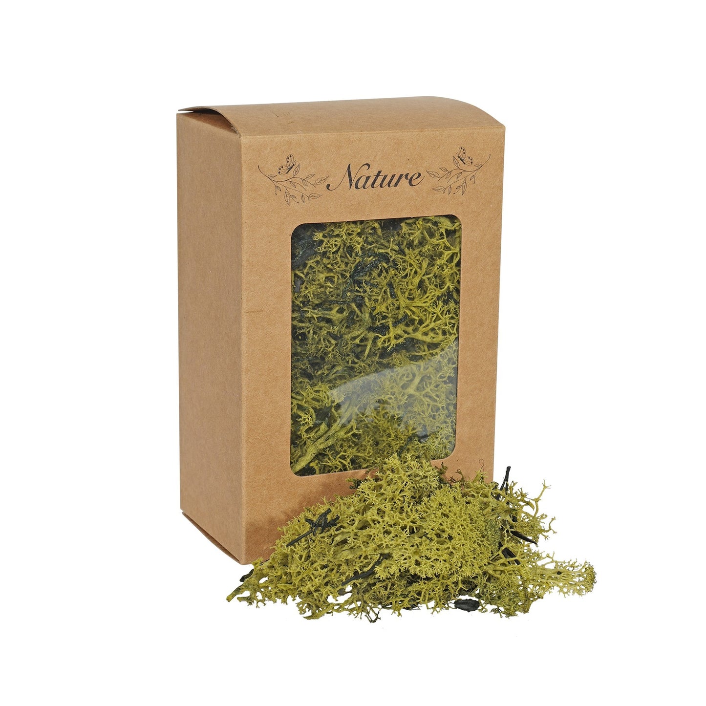 Reindeer Moss Green in Box (100g)