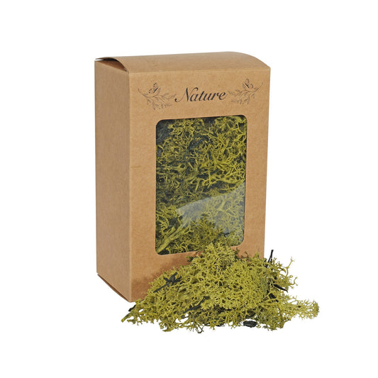 Reindeer Moss Green in Box (100g)