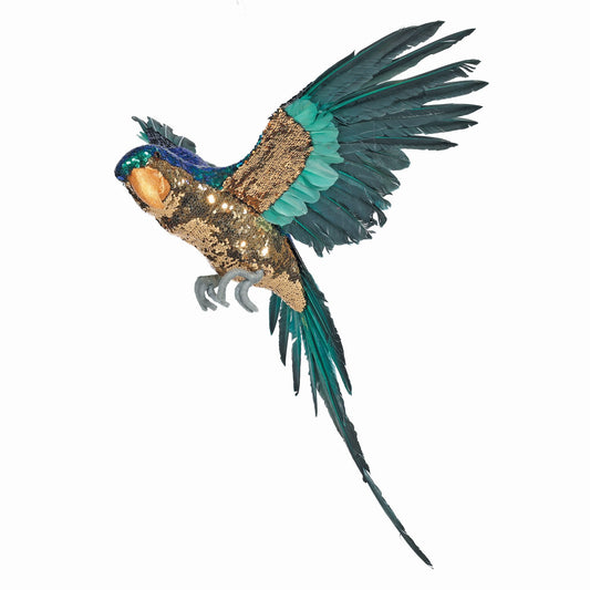 Blue and Gold Large Macaw (80cm)