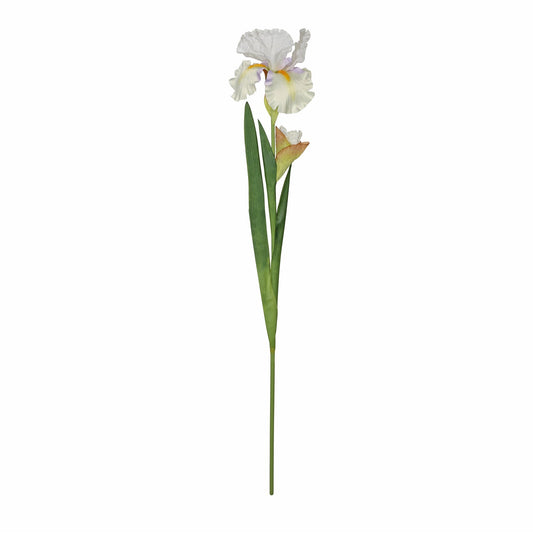 White Monet Iris (87cm)