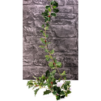 180cm Mixed Green Holly Garland with Berries